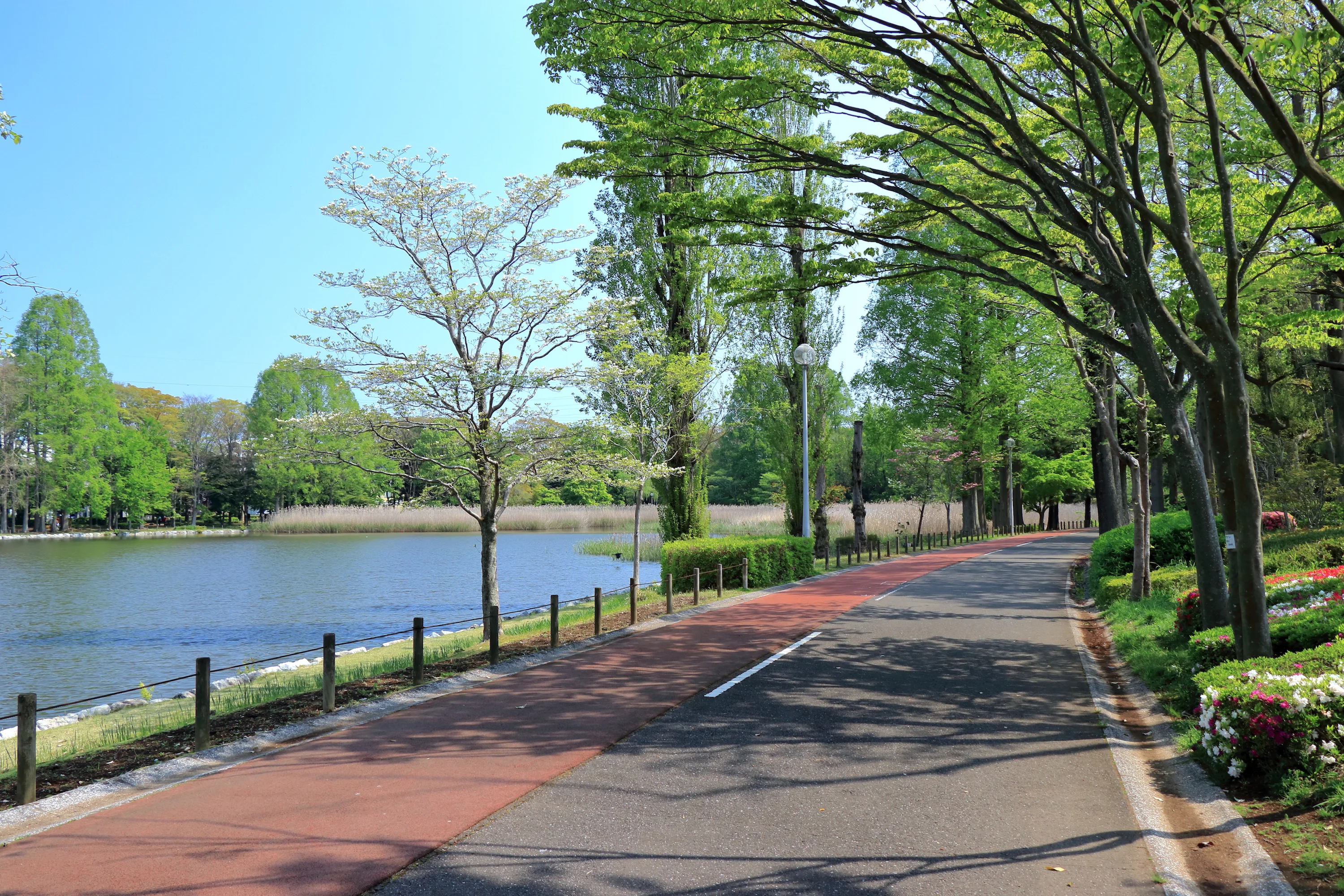 森の中を見上げる視点